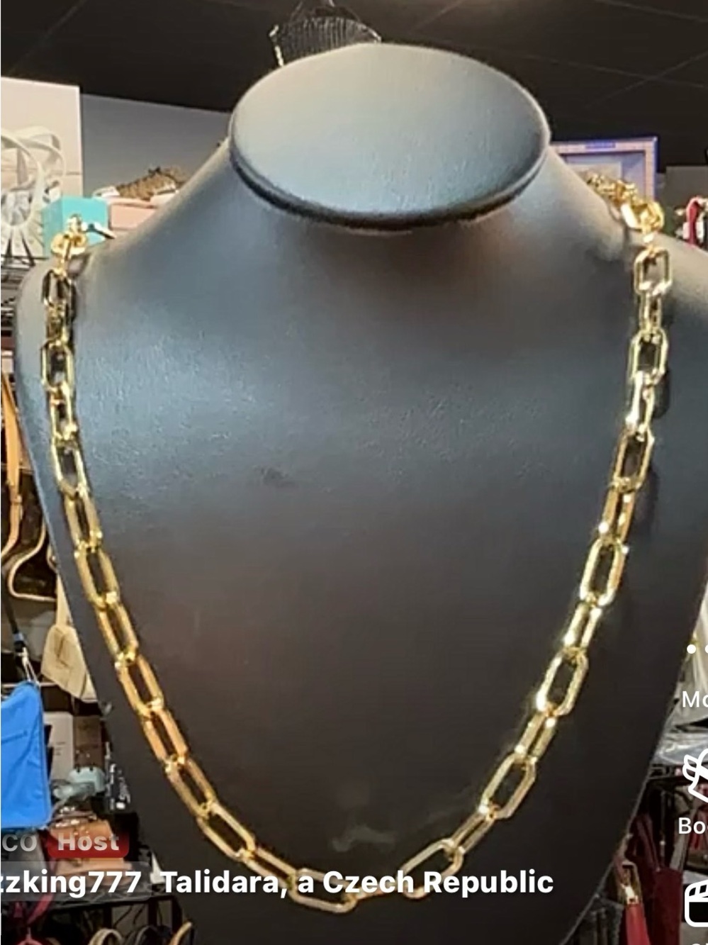 Classic Gold Link Chain Necklace for Women